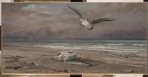 De Stervende Zeemeeuw, 1879 door Elihu Vedder